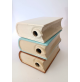 ♥ 3 BOTTIGLIE IN CERAMICA INGLESE A FORMA DI LIBRO VINTAGE PATERSON SPIRIT INDIE