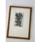 ► A. VOGHERA - CARDI - LITOGRAFIA 1980 QUADRO CON CORNICE VINTAGE