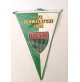 ♥ GAGLIARDETTO 1 F.C. SCHWEINFURT 1905 CALCIO GERMANIA BUNDESLIGA