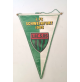 ♥ GAGLIARDETTO 1 F.C. SCHWEINFURT 1905 CALCIO GERMANIA BUNDESLIGA