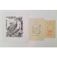 ♥ LOTTO 3 EX LIBRIS LORENZO ALESSANDRI Dina Sirena SURFANTA 1956 1957 p35