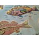 ♥ PLASTICO IN RILIEVO ZOOLOGIA GENERALE VERTEBRATI ED. RICO SCUOLA VINTAGE 60