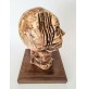 ♥ TESTA SCULTURA VOLTO BRUTALIST ART VINTAGE 1979 SUSCA COSTANTINO GESSO VOLTO