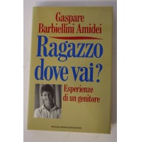 Ragazzo, dove vai? Esperienze di un genitore. G. Barbiellini Amidei 1990 H13